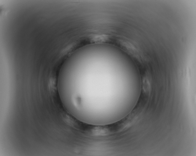 X0000114130714200910081244