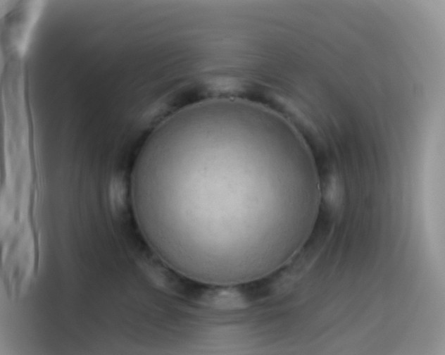 X0000114130715200910081244