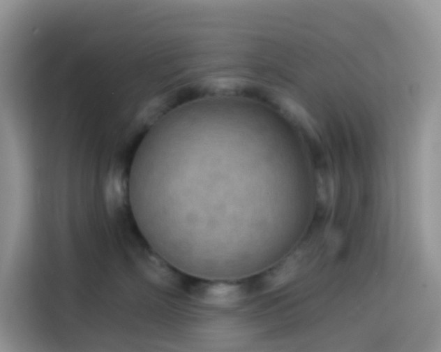 X0000114130718200910081244