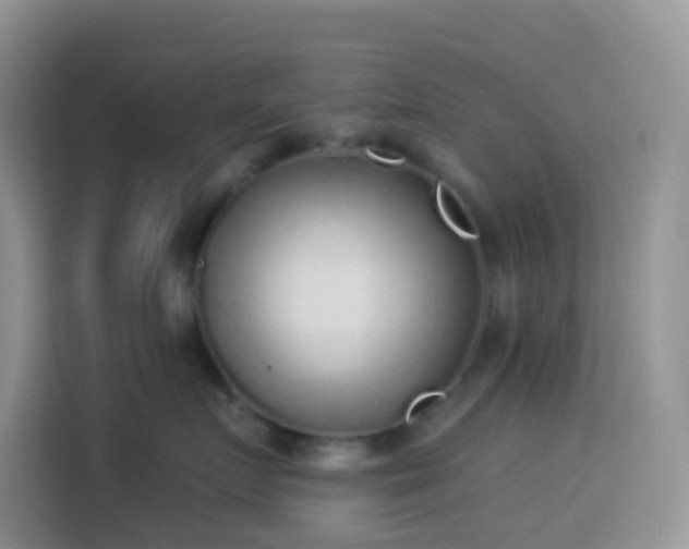 X0000114130719200910081244