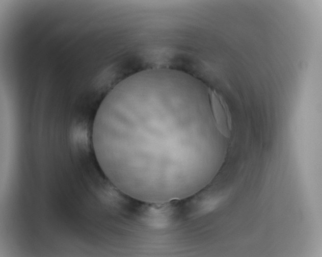 X0000114130720200910081244