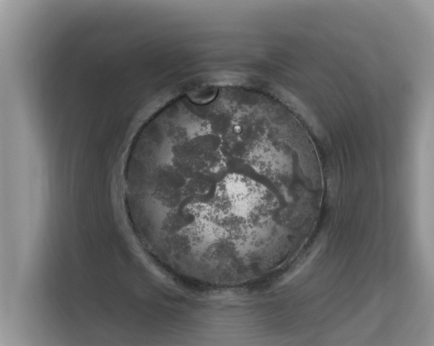 X0000114130721200910081244