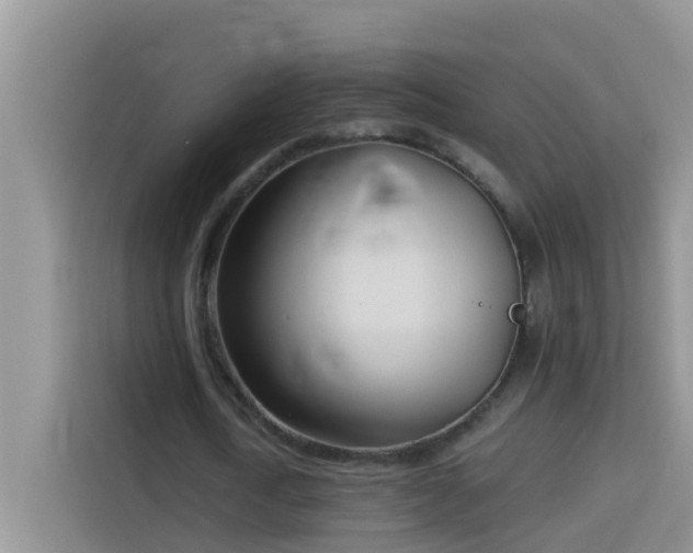 X0000114130722200910081244