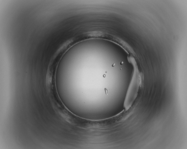X0000114130723200910081244