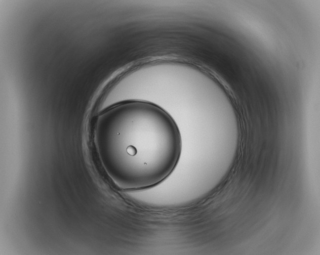 X0000114130724200910081244