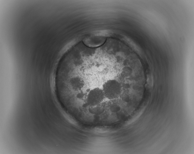 X0000114130725200910081244