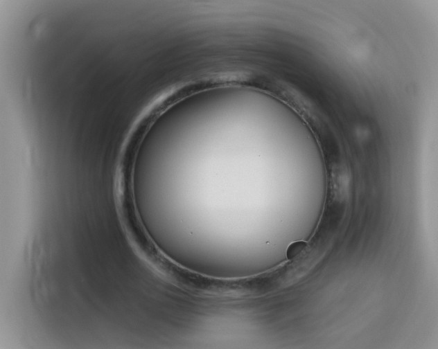 X0000114130726200910081244