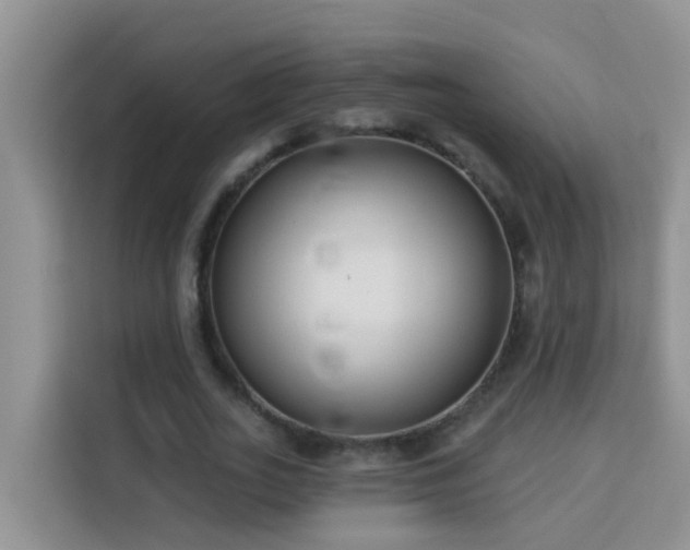 X0000114130727200910081244