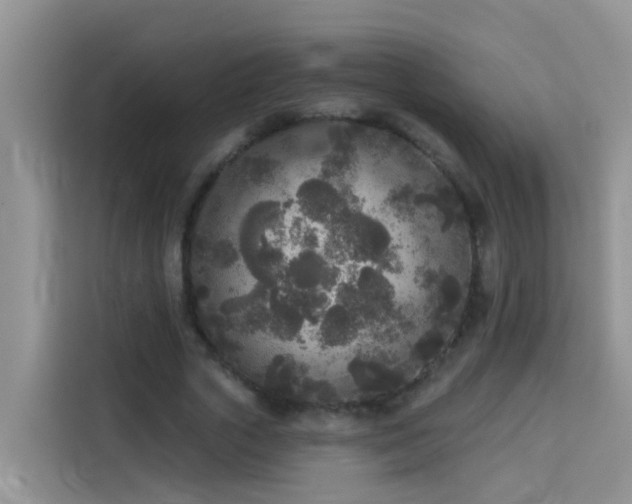 X0000114130729200910081244