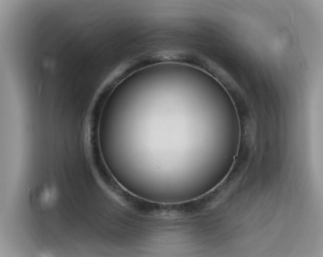 X0000114130730200910081244