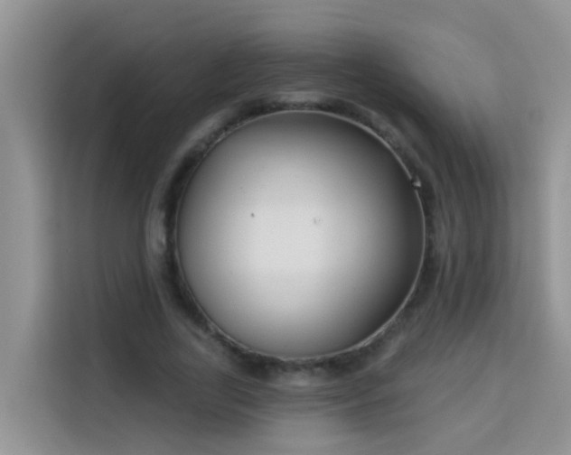 X0000114130731200910081244
