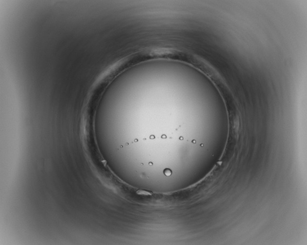X0000114130732200910081244