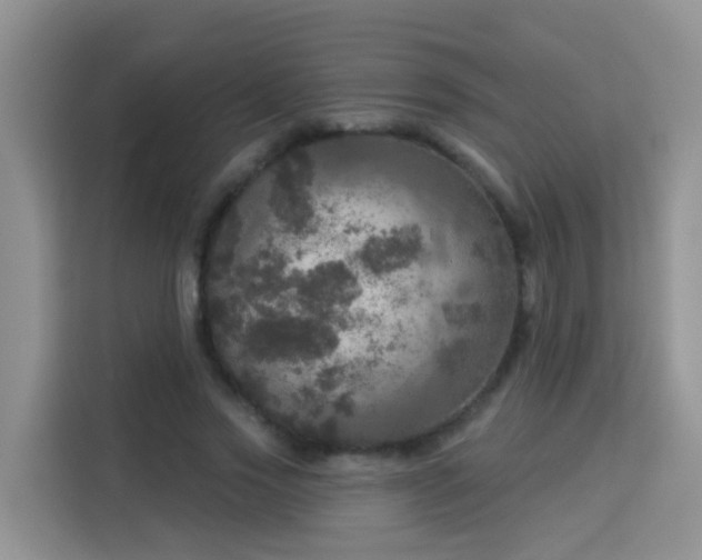 X0000114130733200910081244