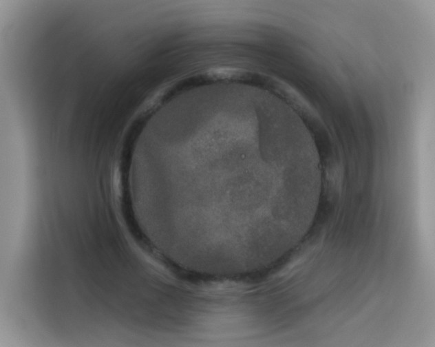 X0000114130734200910081244