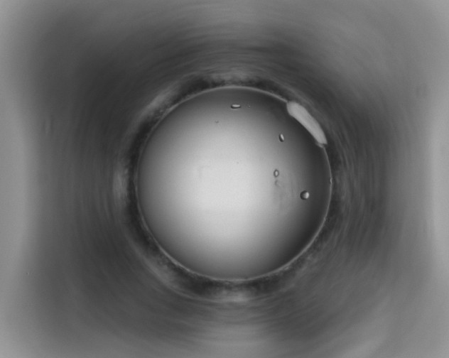 X0000114130735200910081244