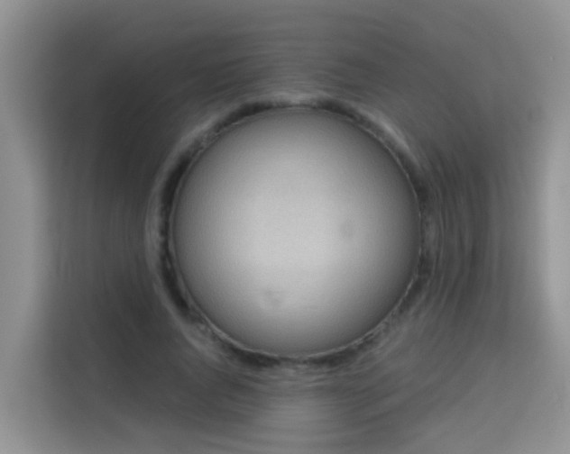 X0000114130736200910081244