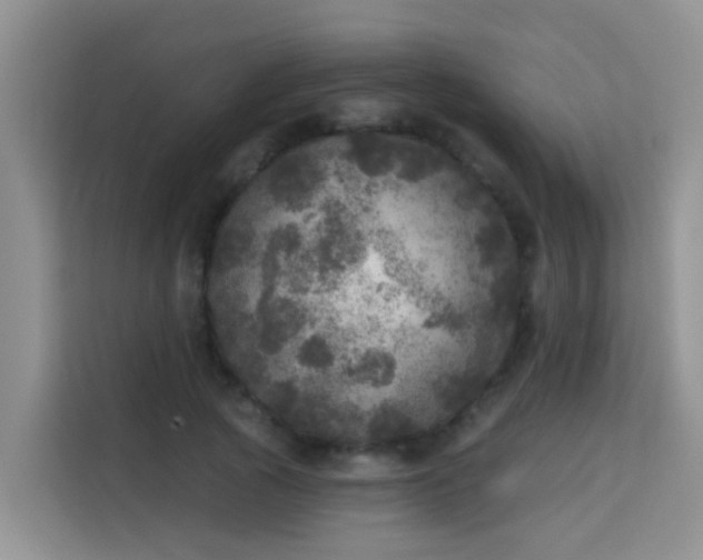 X0000114130737200910081244
