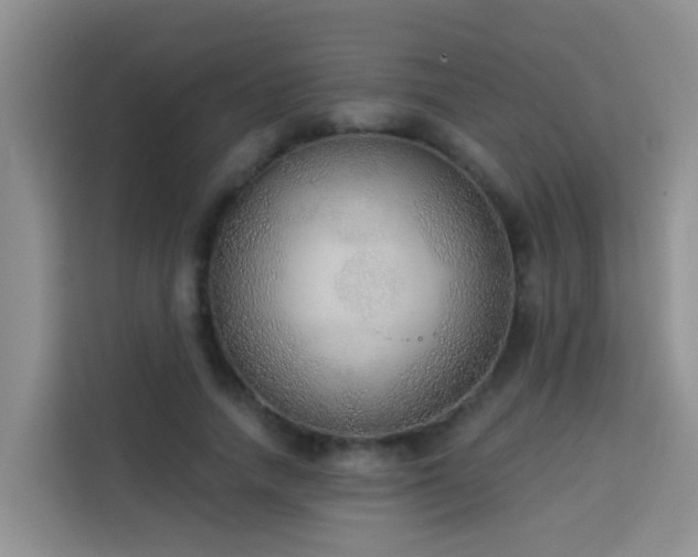 X0000114130738200910081244
