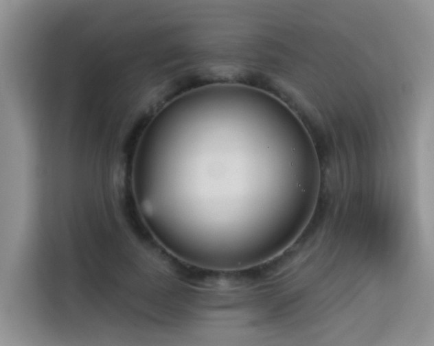 X0000114130739200910081244