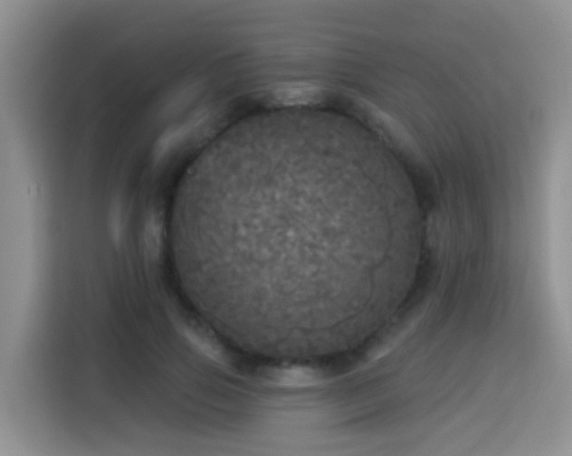 X0000114130741200910081244