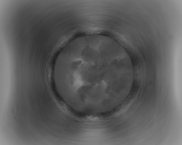 X0000114130742200910081244