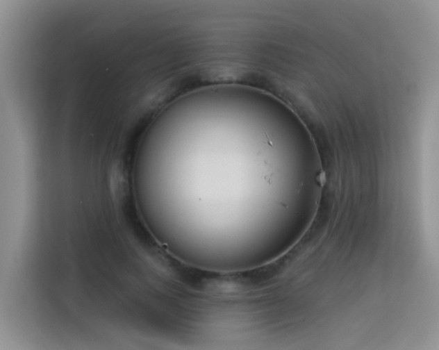 X0000114130743200910081244