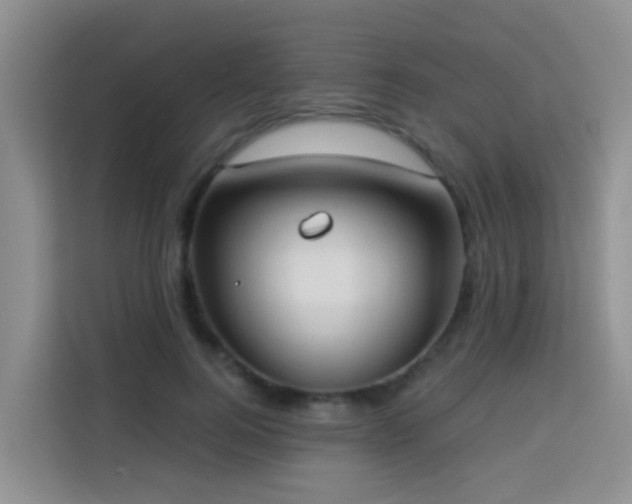 X0000114130744200910081244
