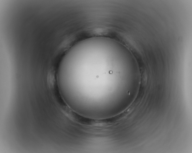 X0000114130746200910081244