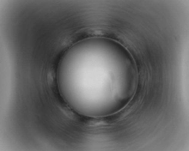 X0000114130747200910081244