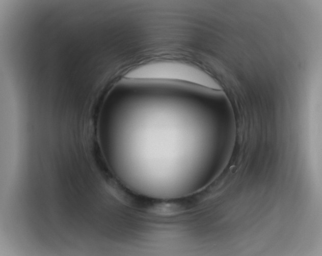 X0000114130748200910081244