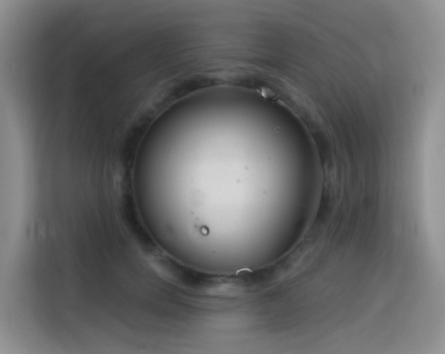 X0000114130750200910081244