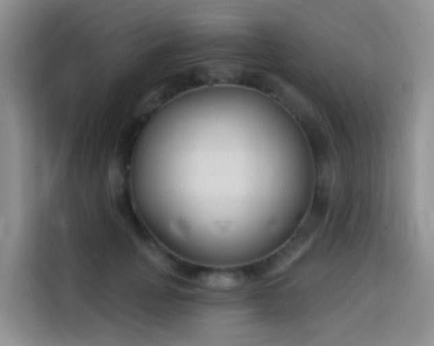 X0000114130751200910081244