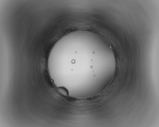 X0000114130752200910081244