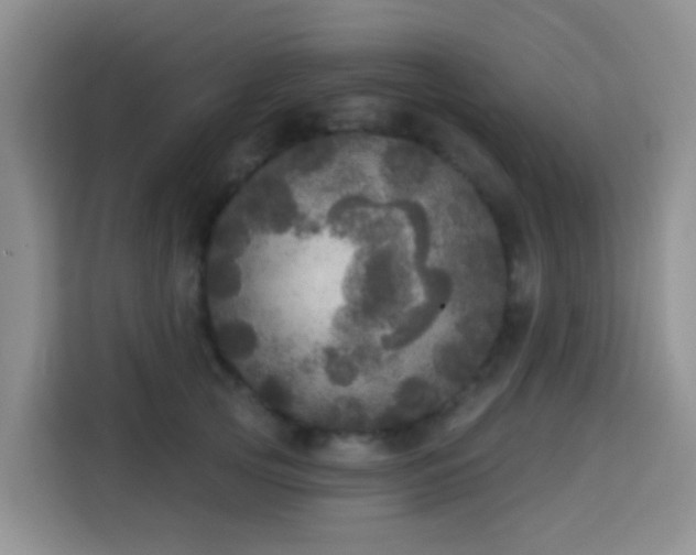 X0000114130753200910081244