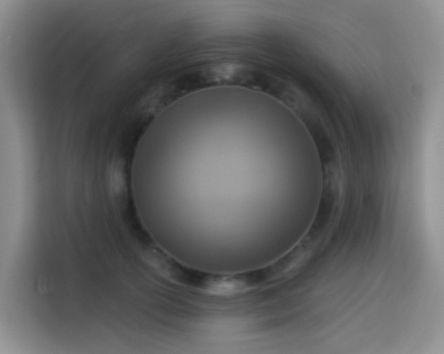 X0000114130754200910081244