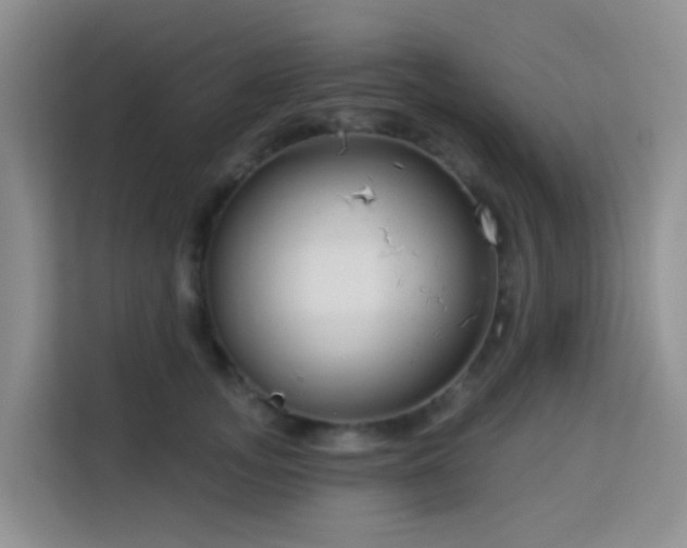 X0000114130755200910081244