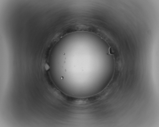 X0000114130756200910081244