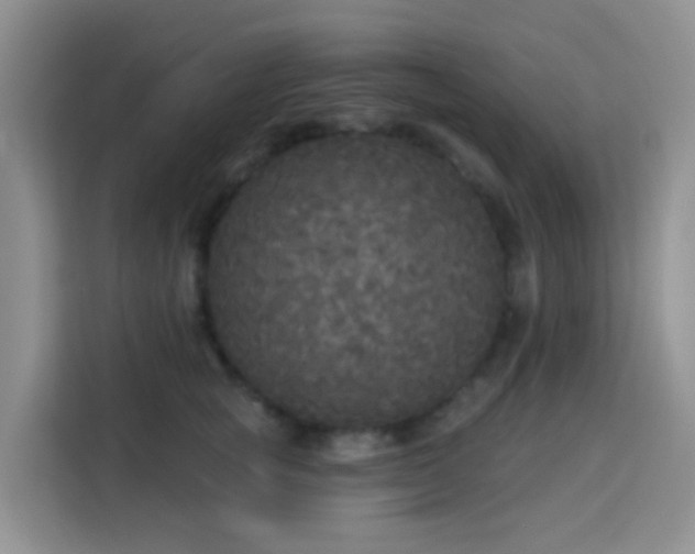 X0000114130757200910081244