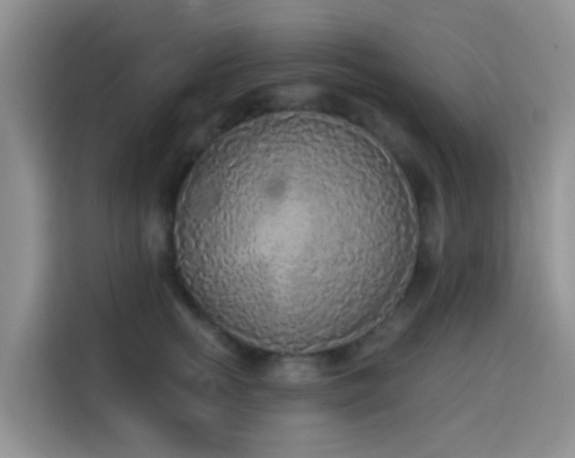 X0000114130758200910081244