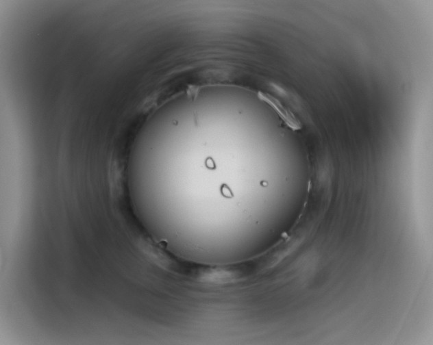 X0000114130759200910081244