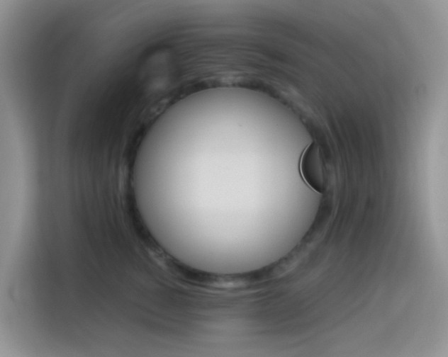X0000114130760200910081244
