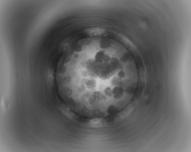X0000114130761200910081244