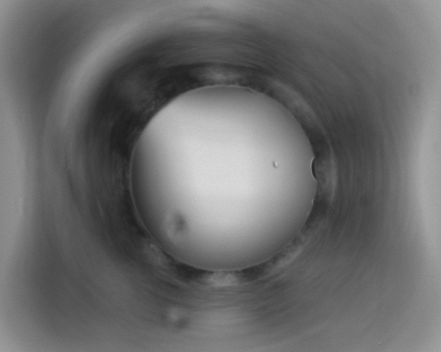 X0000114130762200910081244