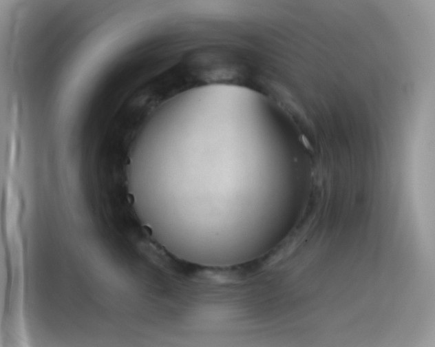 X0000114130763200910081244