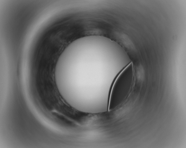 X0000114130764200910081244
