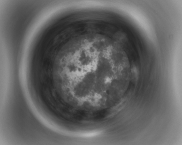 X0000114130765200910081244