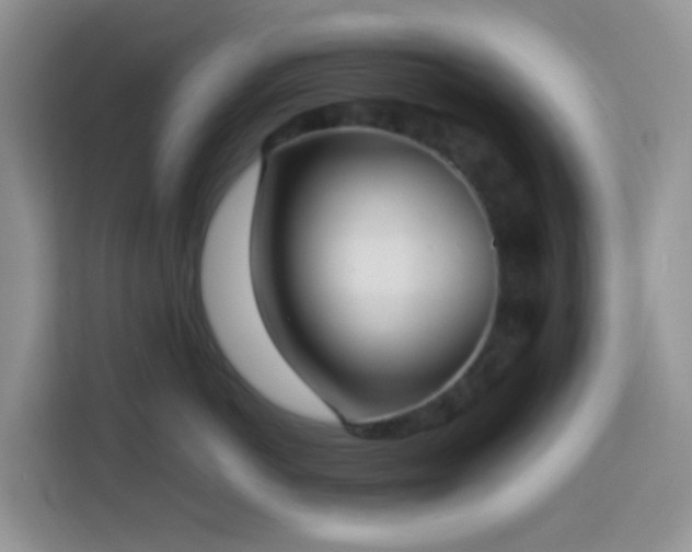 X0000114130766200910081244