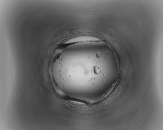 X0000114130769200910081244