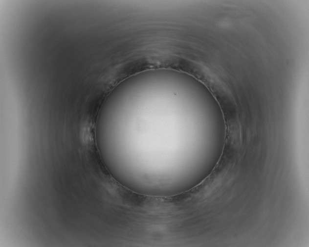 X0000114130770200910081244