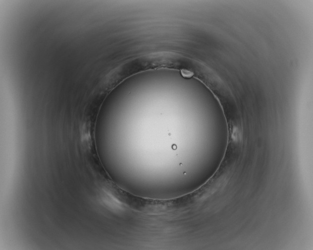 X0000114130771200910081244